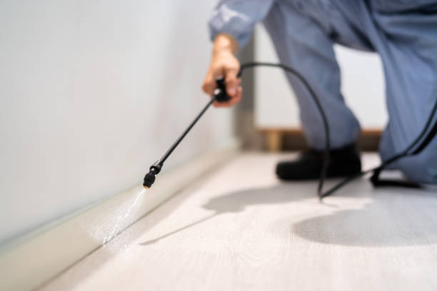 Licensed Pest Control service in Clendenin, WV - Show Me Pest Control