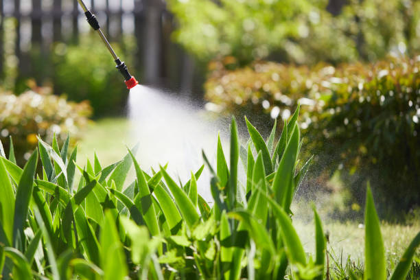 Tamper-Resistant Bait Stations for Rodents in Clendenin