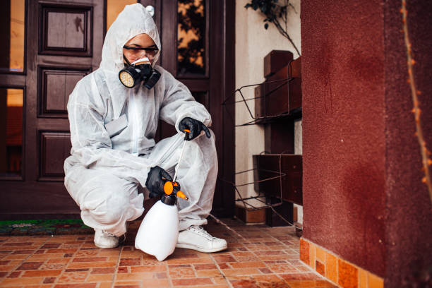 Attic and Crawl Space Rodent Treatment in Clendenin